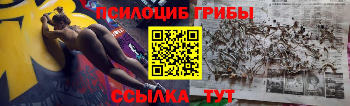 Псилоцибиновые грибы мицелий Обь